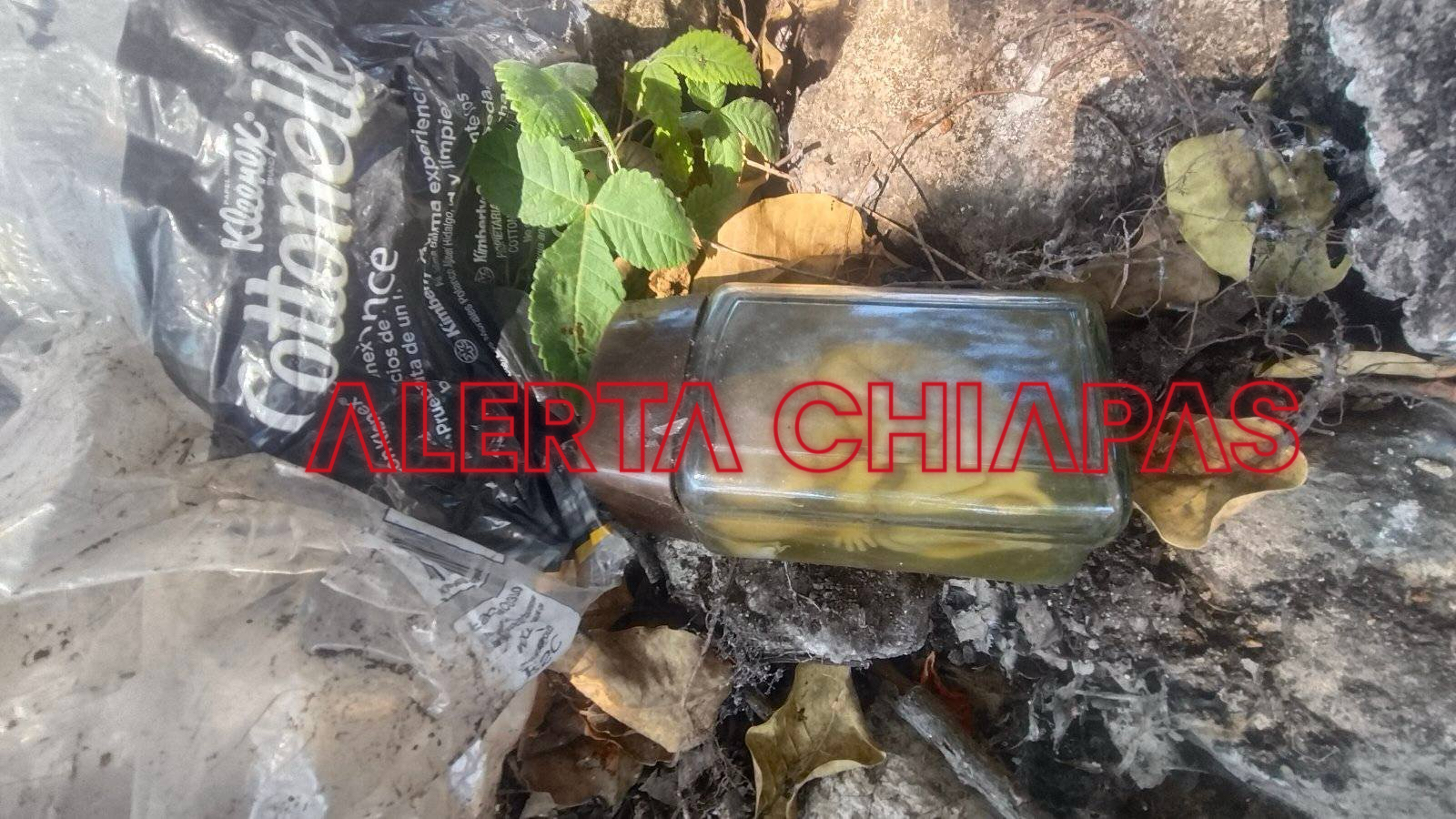 Hallan un feto en la colonia Loma de los Chapulines.
