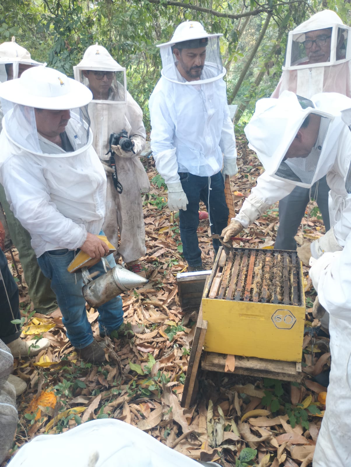 ¡A extraer veneno y propóleo! Arrancan las prácticas apícolas en Tapachula