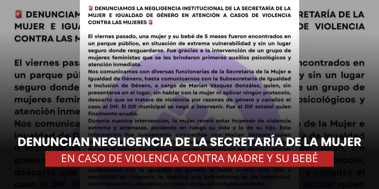 Denuncian negligencia de la Secretaría de la Mujer en caso de violencia contra madre y su bebé