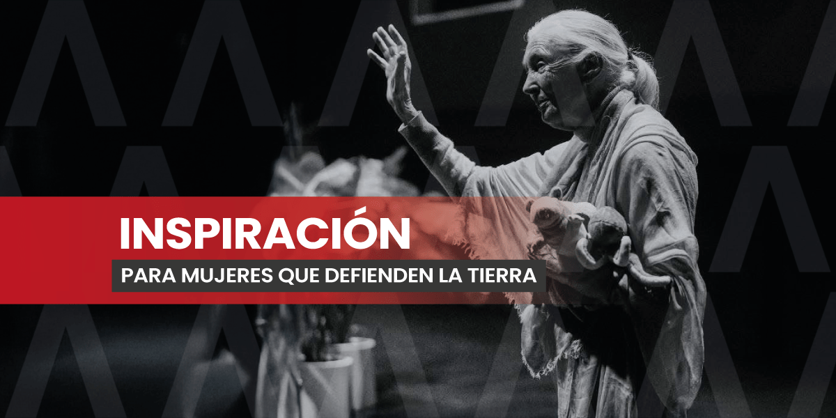 Legado de Jane Goodall vive en Chiapas