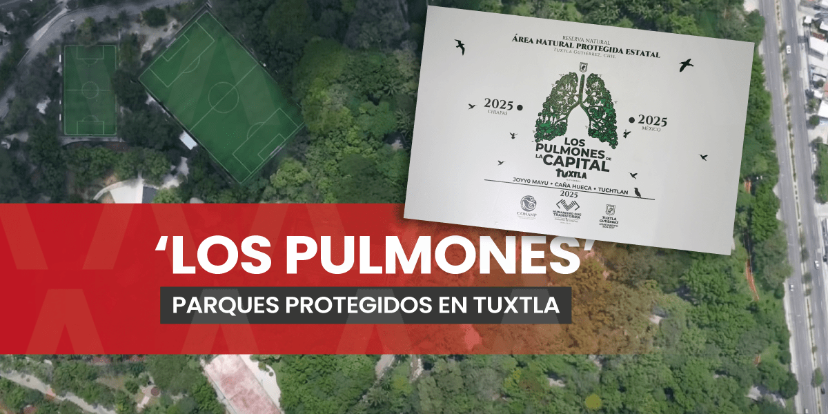 Caña Hueca, Joyyo Mayu y Tuchtlán son declarados Área Natural Protegida