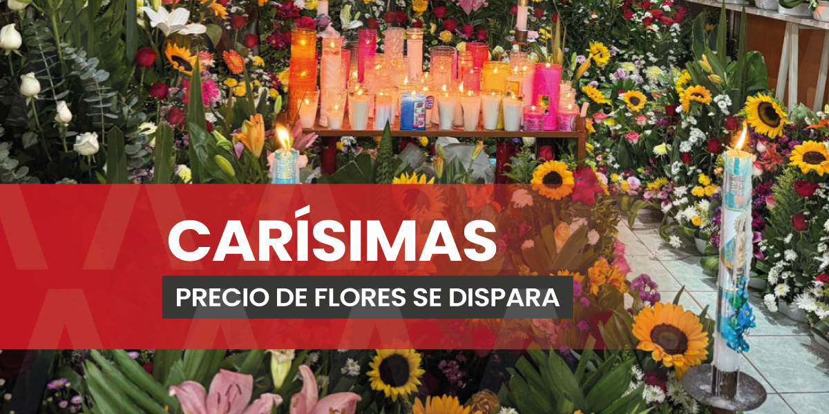 Flores suben hasta un 30% previo al 12 de diciembre