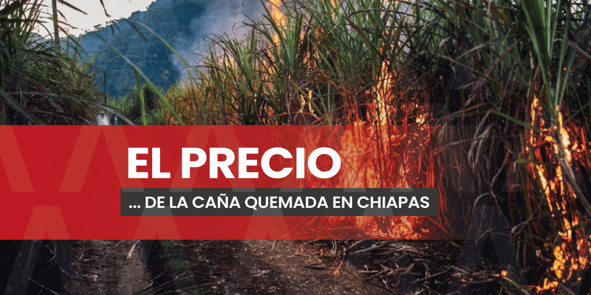 Alertan sobre la quema de caña que afecta a comunidades