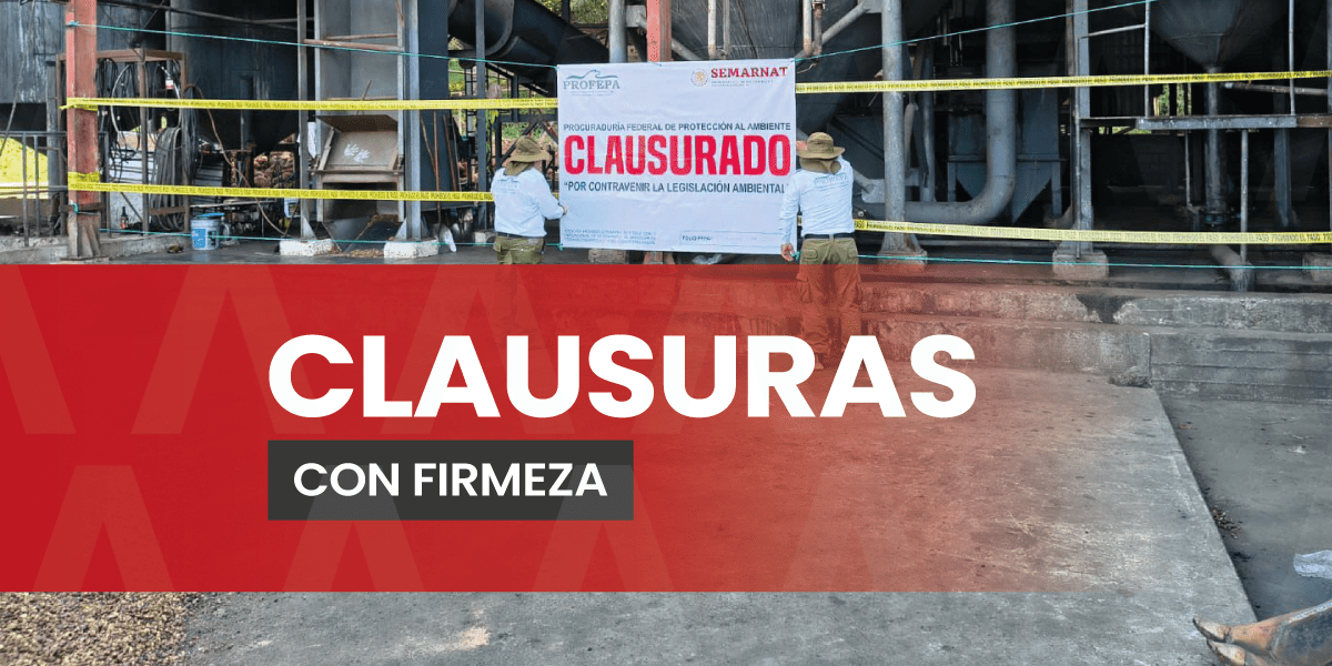 PROFEPA aplica mano dura en las regiones Costa y Soconusco