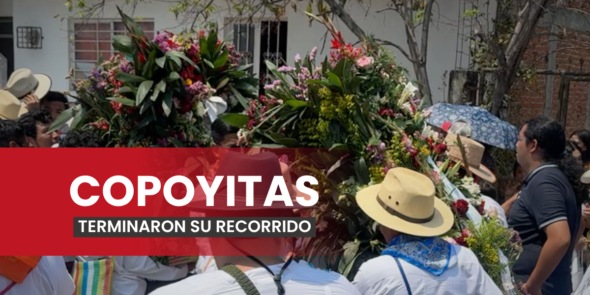 Copoyitas regresaron a casa tras más de 50 días de recorrido