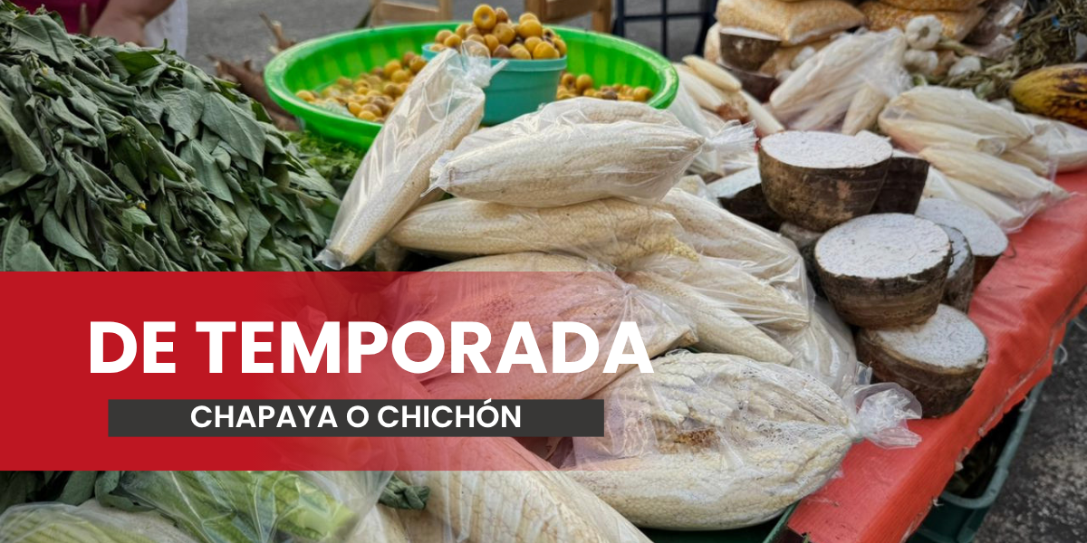 Chapaya, el sabor de temporada que conquista paladares