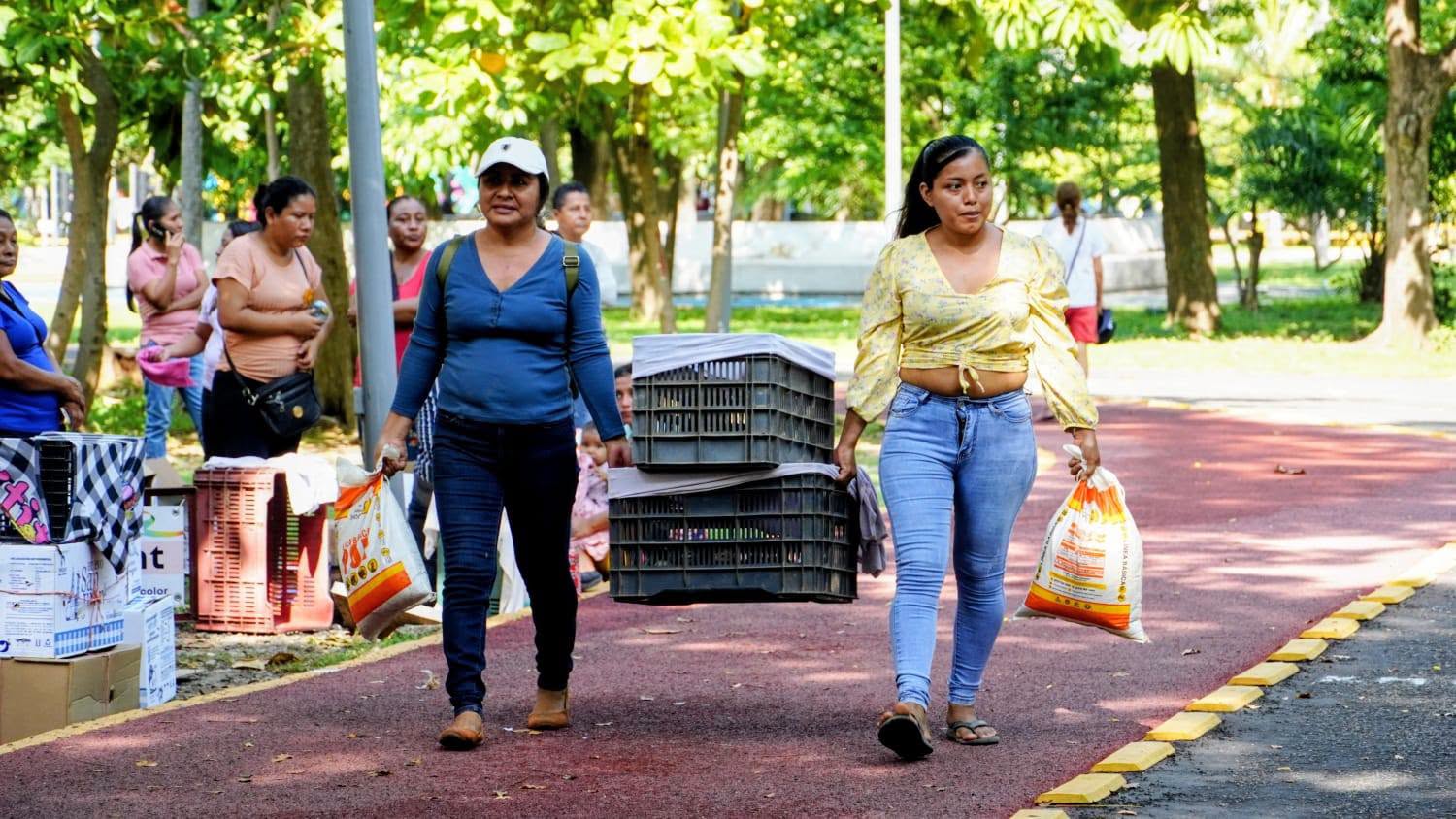 Jefas de familia de Tapachula reciben apoyos para la producción de alimentos
