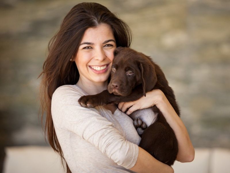 Safepetbrasil Safepet Github - Professional Abstract Wallpaper - High Resolution