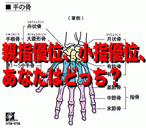 小指優位