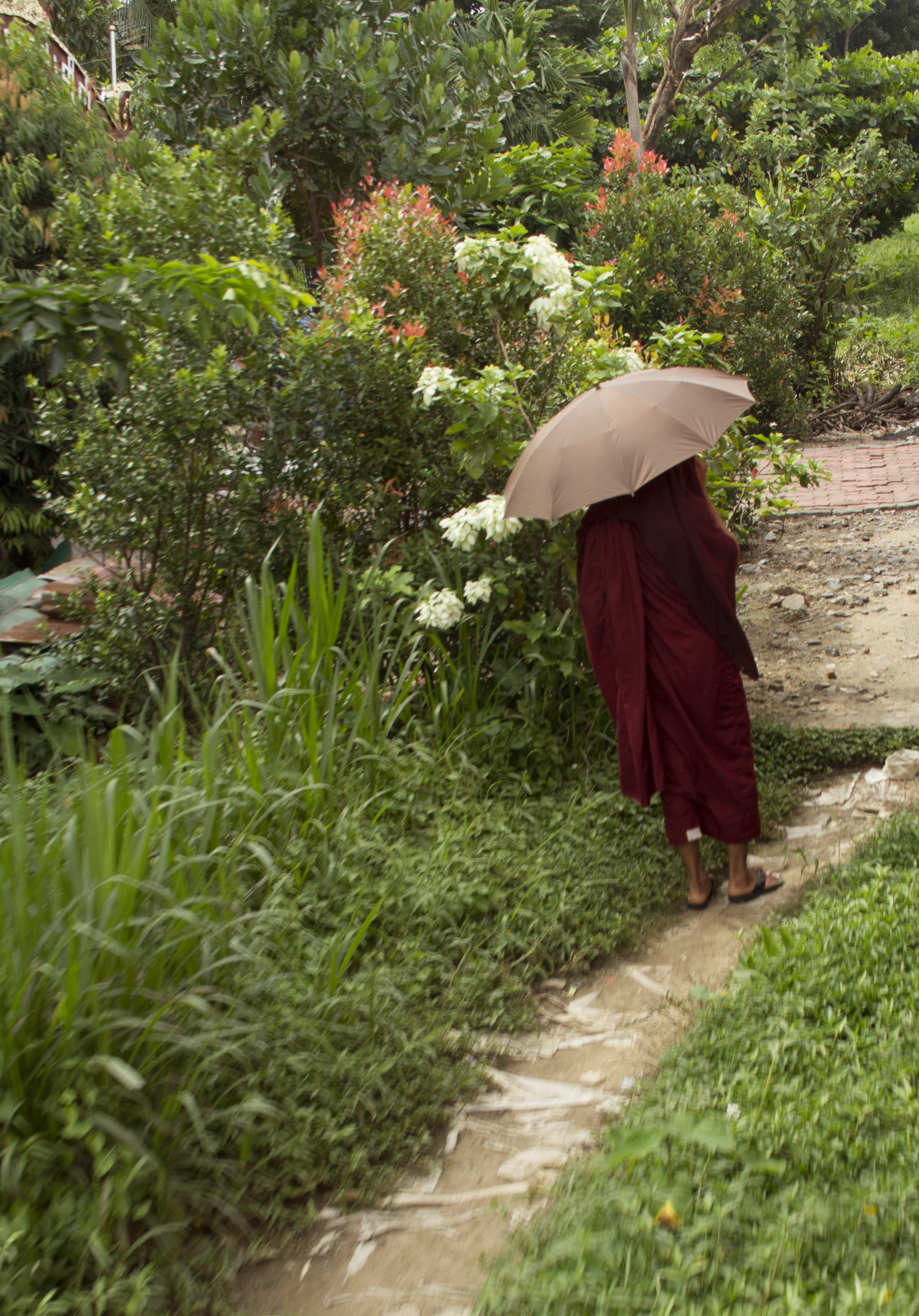 The rain drizzled all afternoon while we're on the Circular Train that took about 3 hours to arrive back at the starting point - Central Railyway Station.