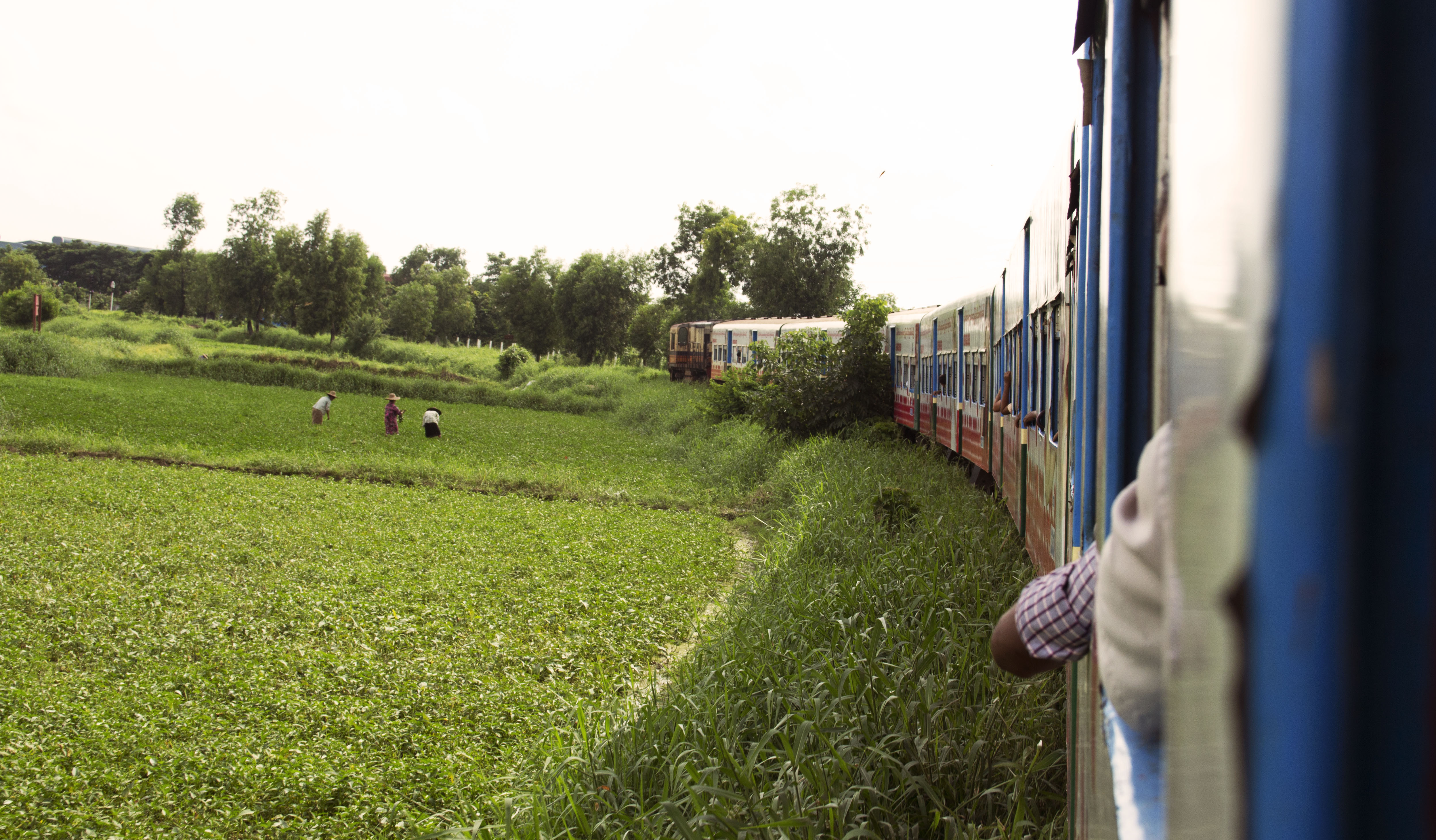 Farmers spotted on the Circular Railway route.