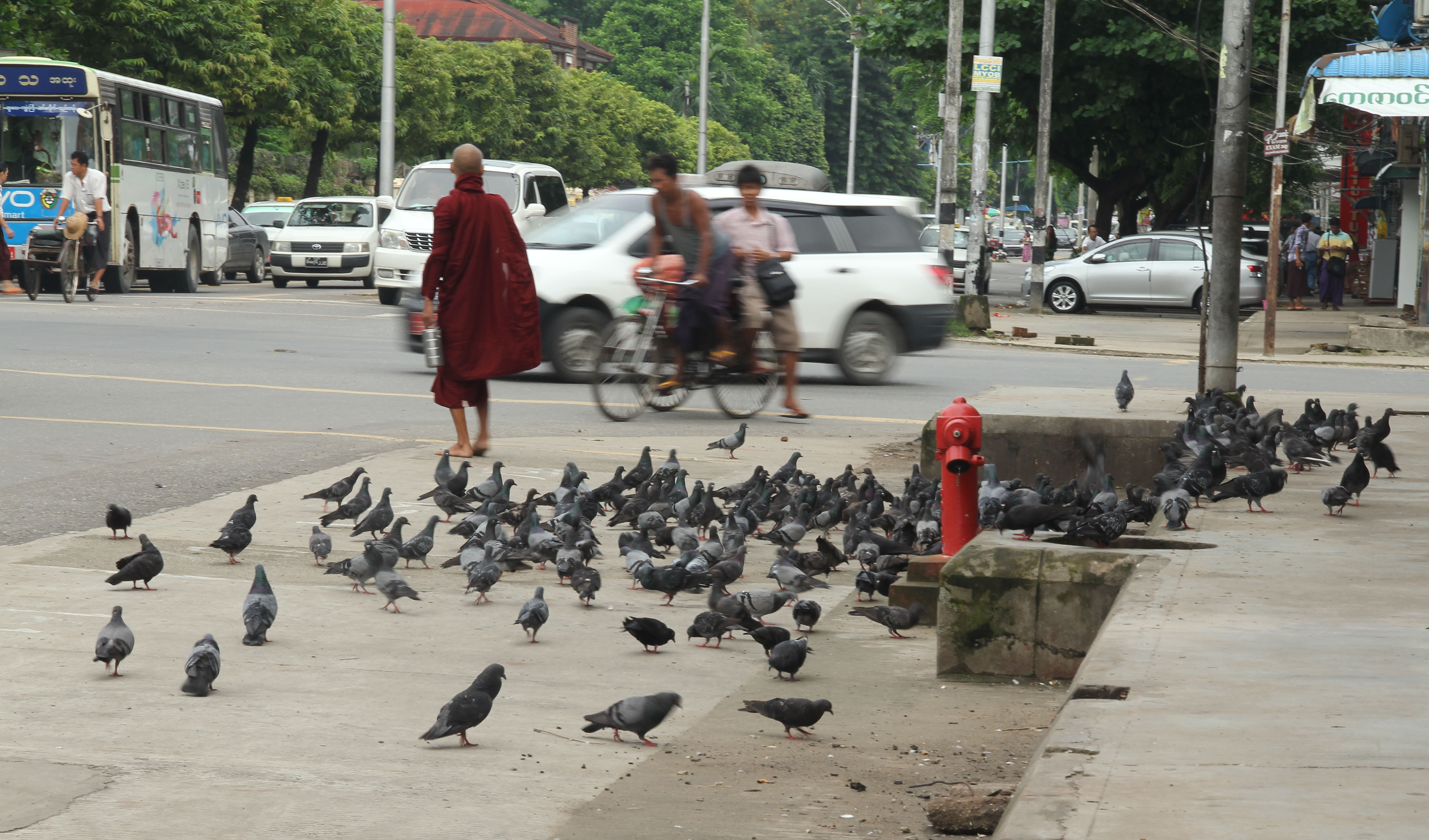 Monk and pigeons on Bo Gokye Aung San Road.