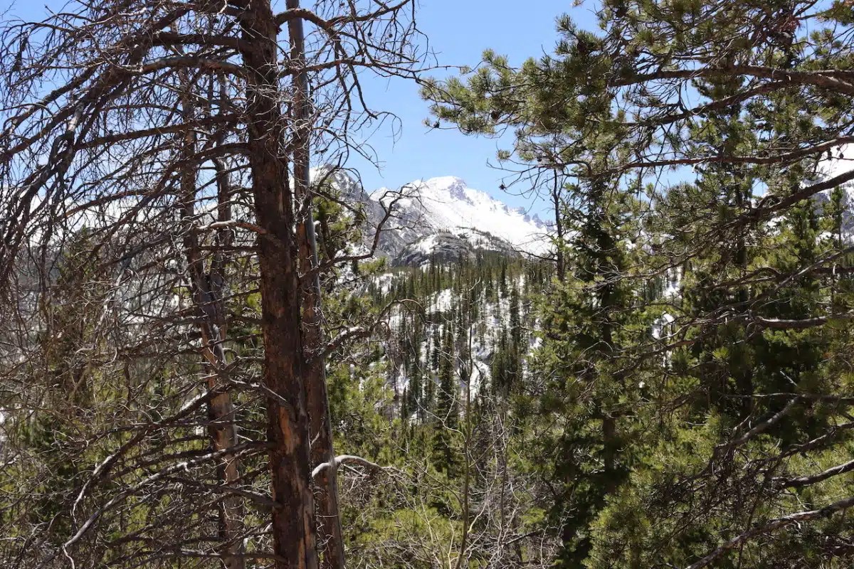 places to stay in estes park