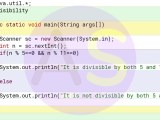Program To Input A Number And Check If It Is Divisible By Both 5 And 11