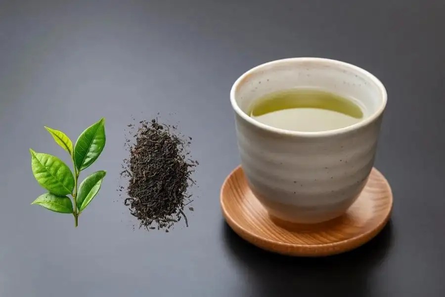 green tea