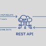 RESTful API For Beginners: Essential Principles & Best Practices