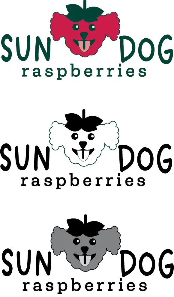 raspberryx3 copy