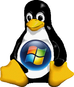 Linux vs Windows