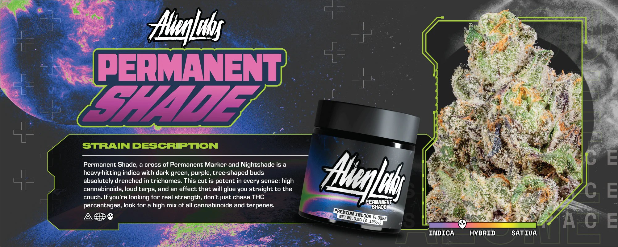 Alien Labs