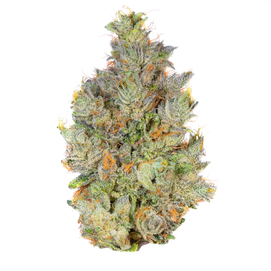 OG Kush Strain