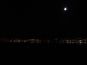 dsc021793
