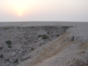 DSC00766