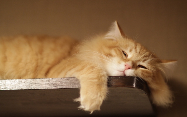 Being lazy