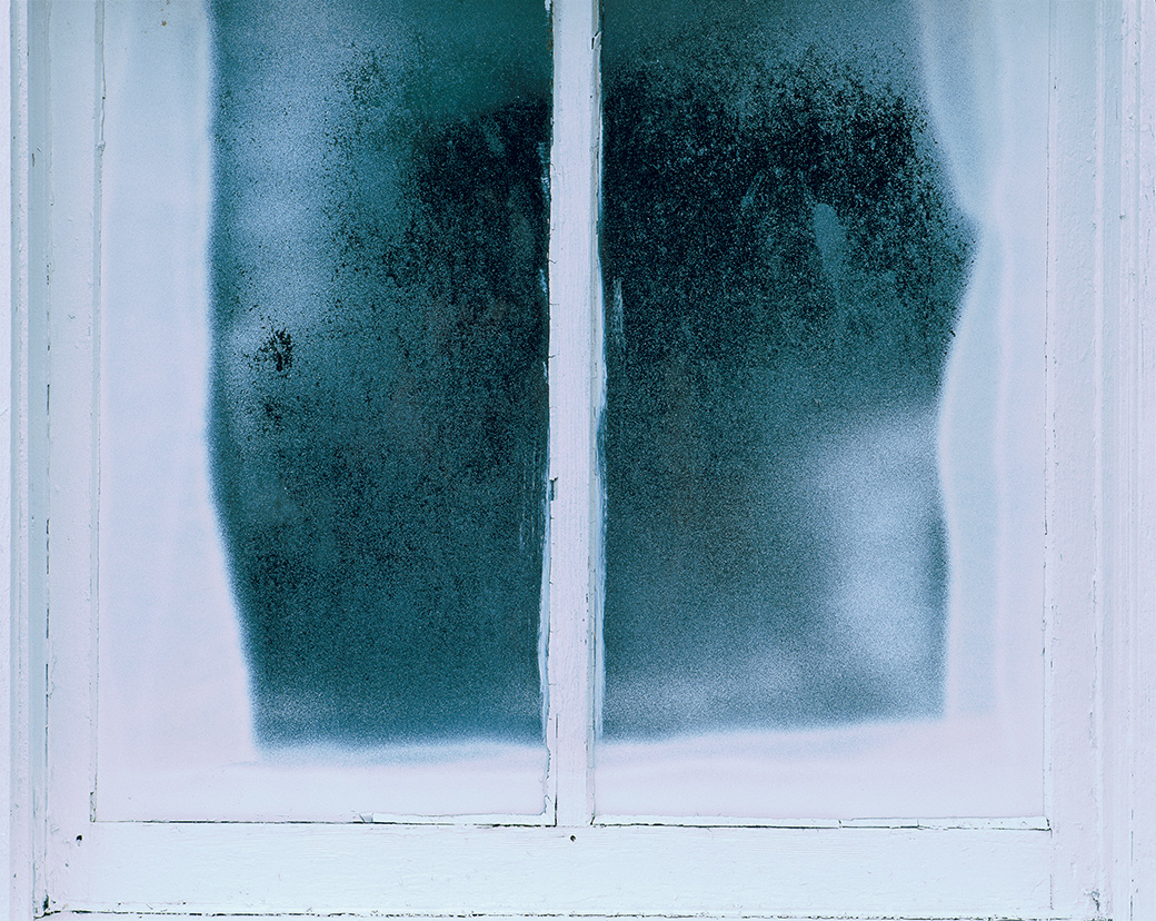 Window, whidbey island 2001