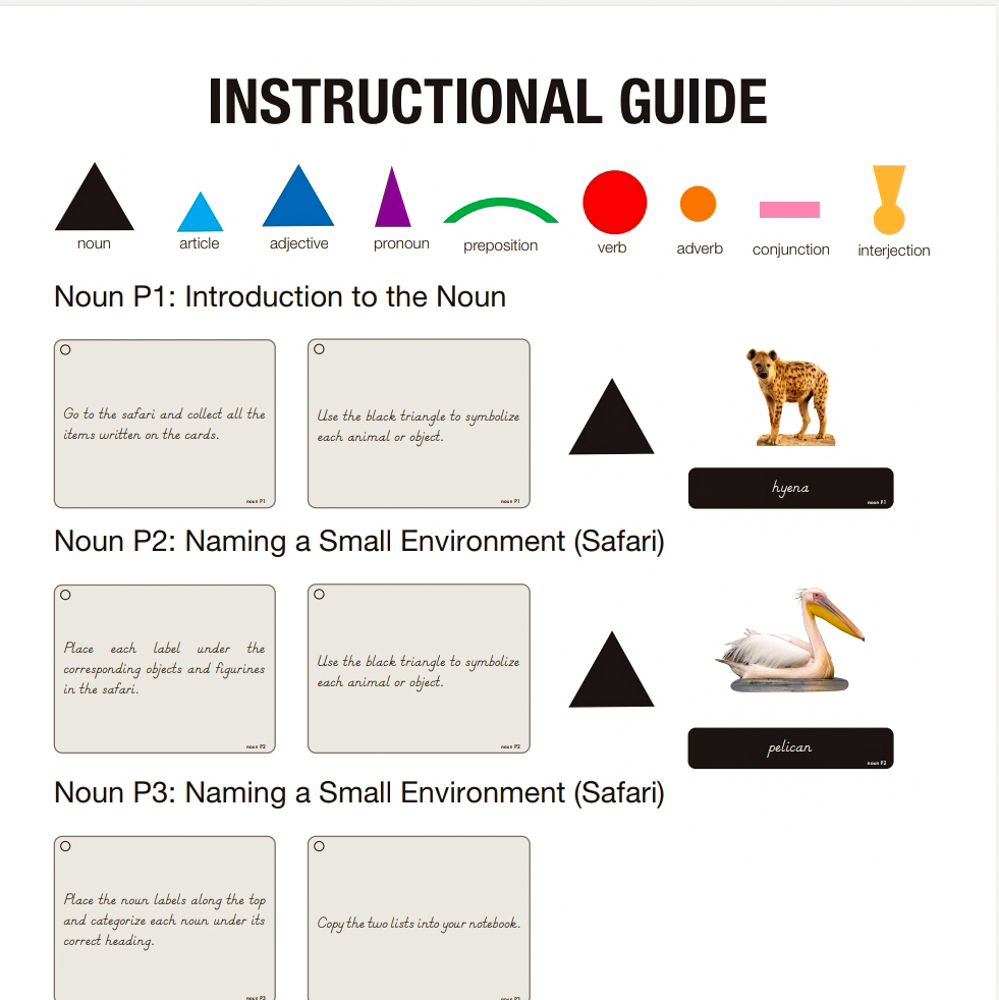 Function of Words: Safari (6-9)