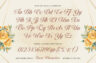 Gallery image item #14