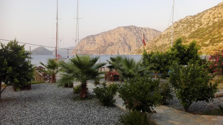 Neighbours gardens