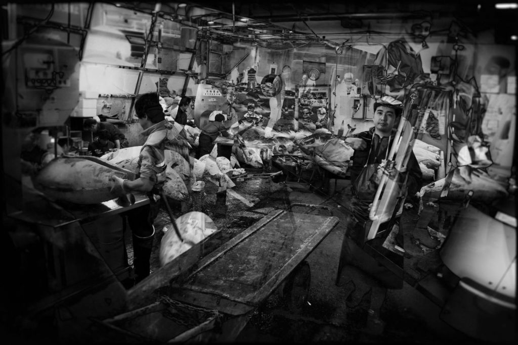 Black-and-white photo-montage inside a large fish market, with workers among frozen tuna carcasses and metal trolleys, fragments from different angles of the same location layered across a low-ceilinged industrial space.