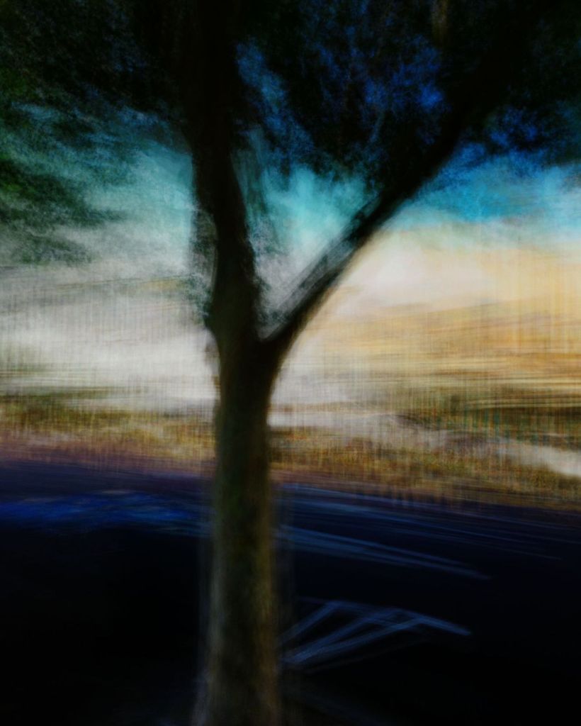 Abstract colour street photograph of a dark tree trunk and blue-green canopy against a blurred turquoise and pale yellow background, with deep blue-black ground and faint road markings below.