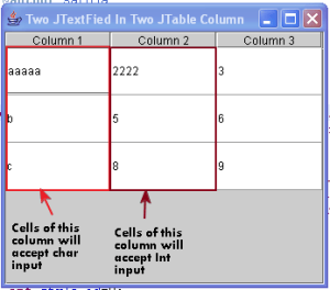 Two different JTable Cell two different input