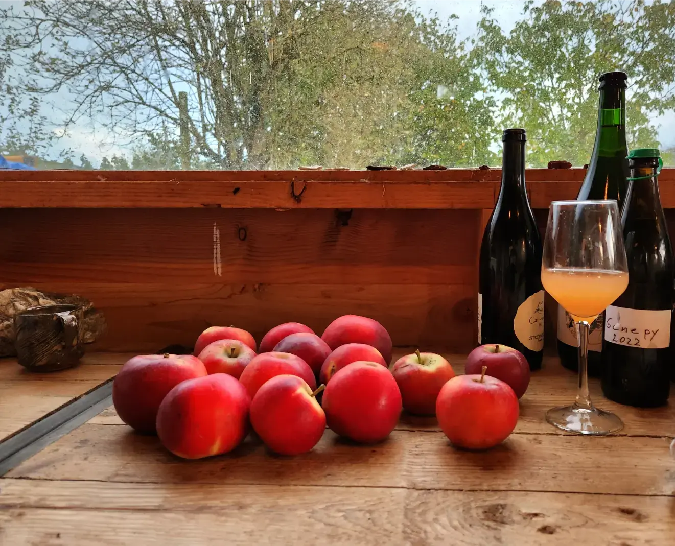 Everything You Know About Saison is Wrong