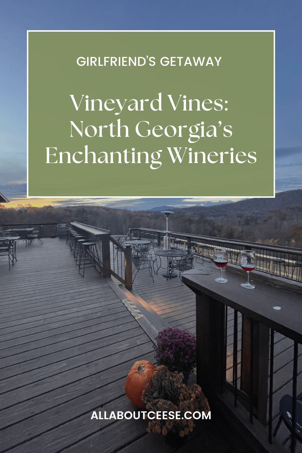 Vineyard Vibes: A Girlfriend’s Getaway to North Georgia’s Enchanting Wineries