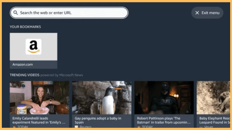 Use Silk Browser to watch Dailymotion on Firestick