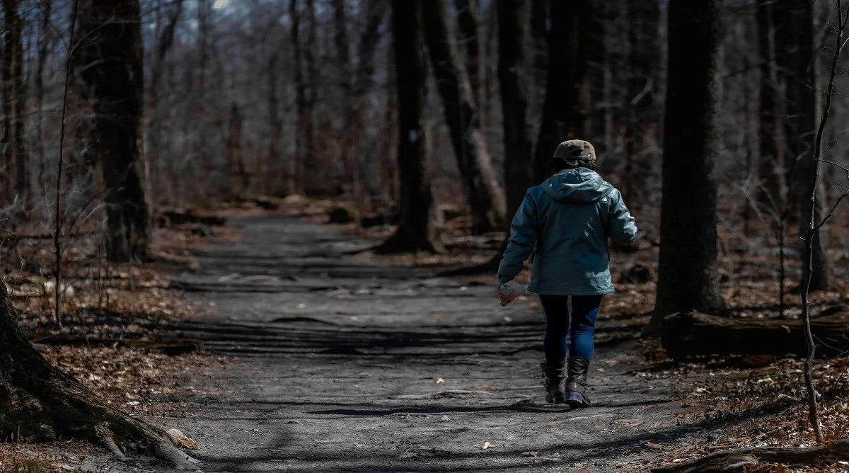 Why Hikers Should Lower Their Voices On Quiet Trails With More Wildlife 456.webp