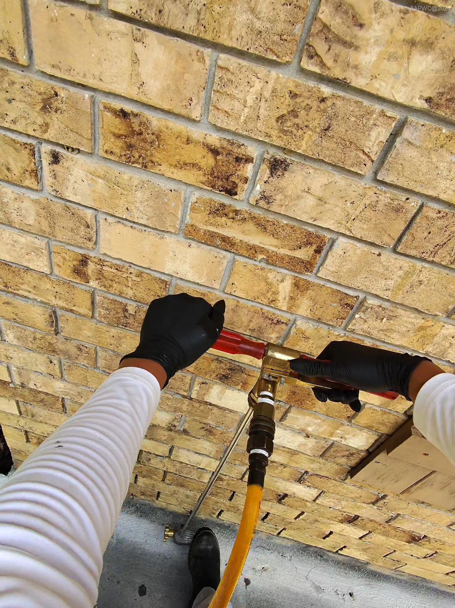 Subslab injection termite treatment protecting a home's foundation from subterranean and Formosan termites