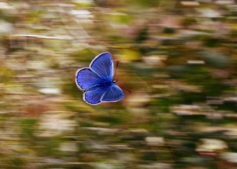 image033