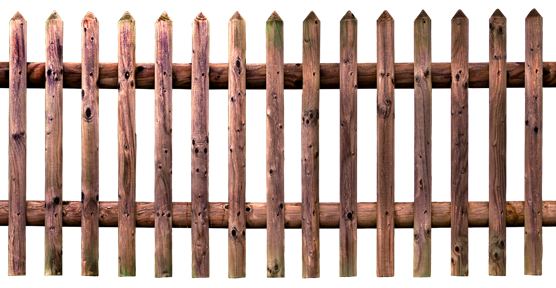 image204