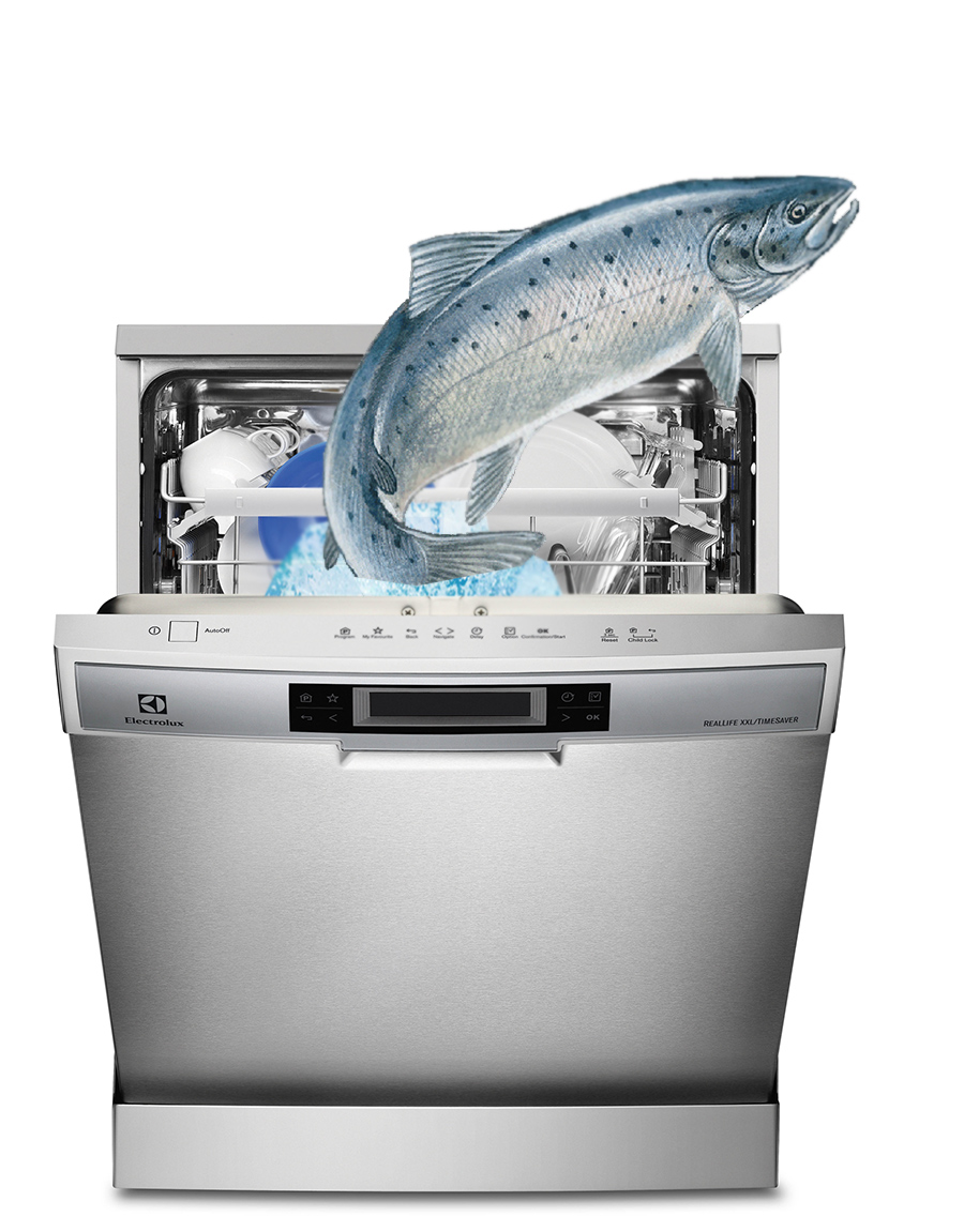 Dishwasher Poached Salmon Easy, Fun, Foolproof, & Wonderfully Superfluous