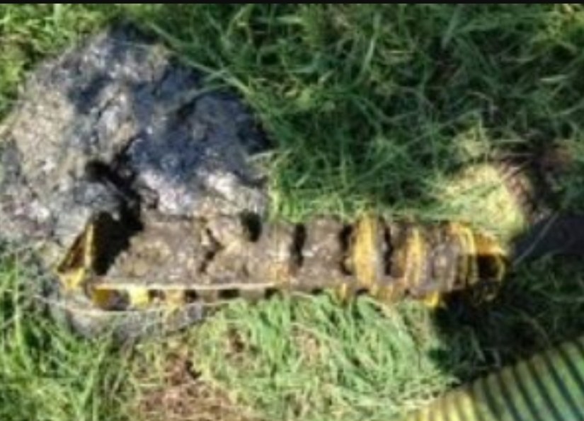 Dirty Septic System Filter