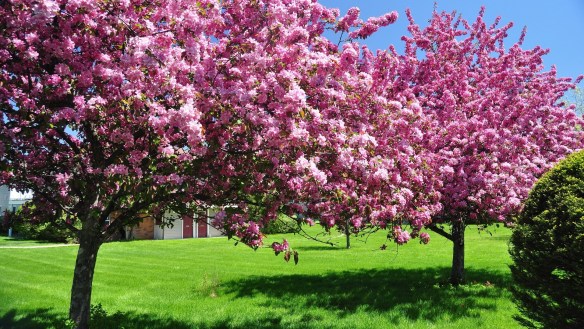 Spring 2021 weather review