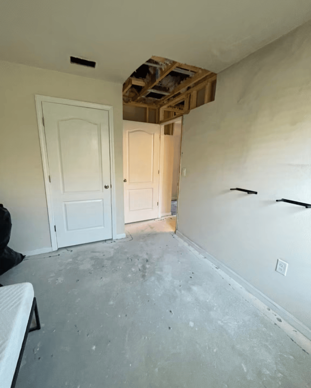 Nocatee Mold remediation