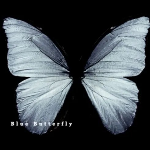 “BLUE BUTTERFLY” by Parjam Parsi