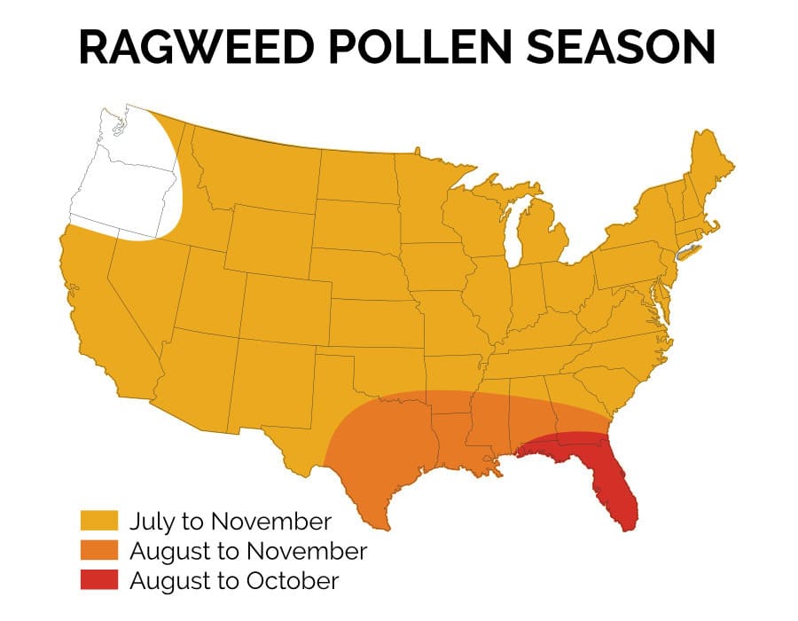 Ragweed Alert US Allergy Season Heats Up Ragweed Pollen Season Map 
