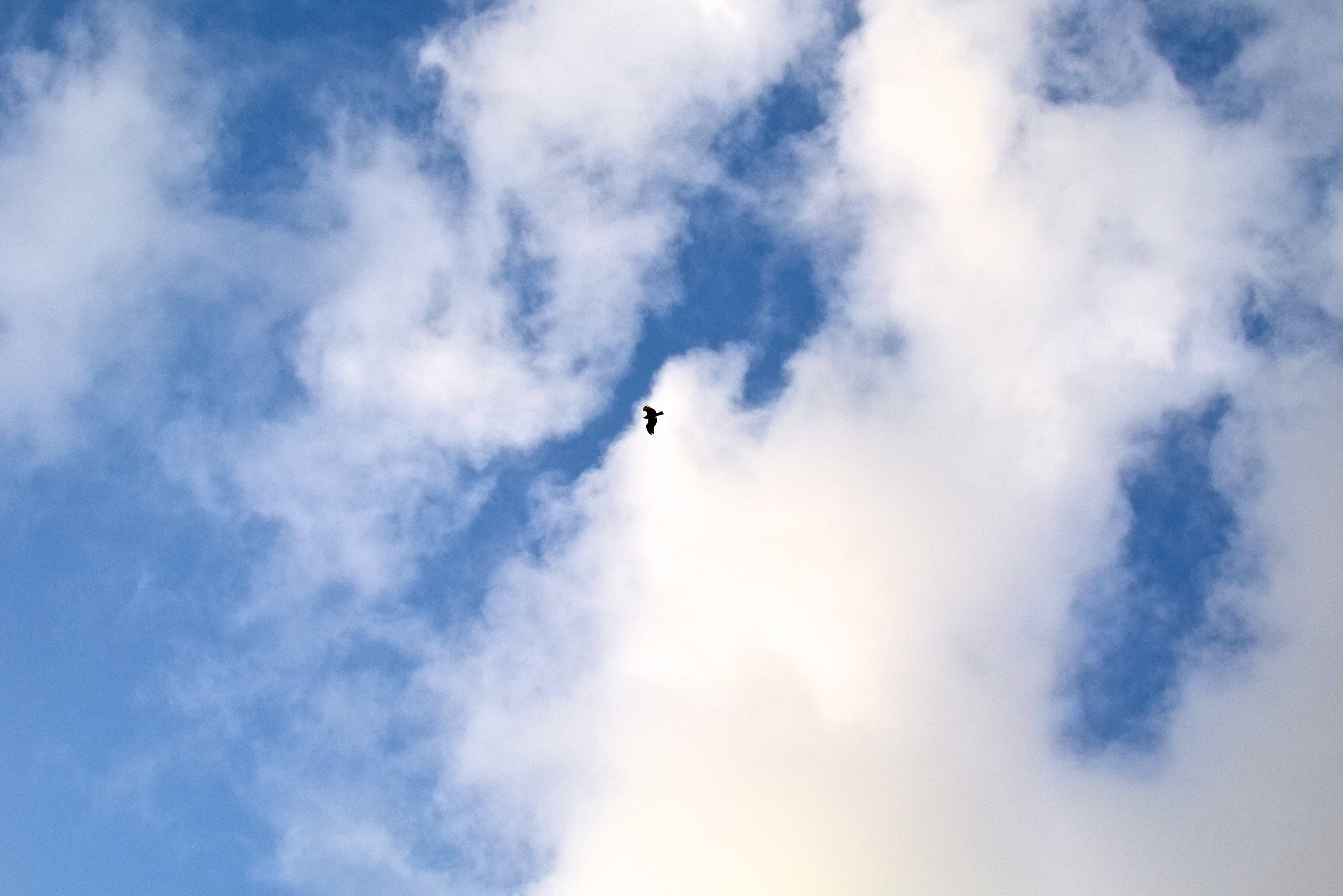Clouds