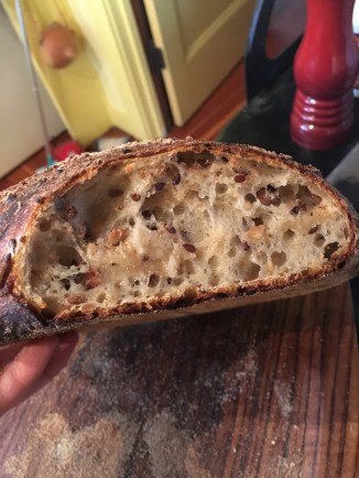 Inside seed feast