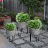 Galvanized Metal Planter Tub Set of 3 - Gray & Black Iron Hairpin Legs - Rustic Farmhouse Decor - Indoor/Outdoor